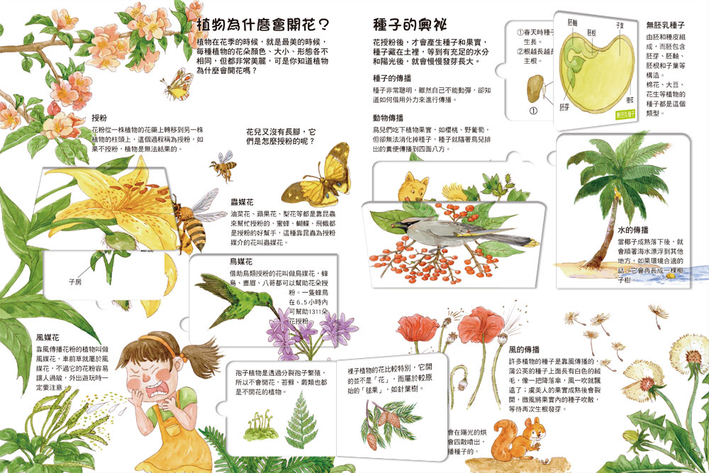  我的STEAM翻翻書：生氣蓬勃的自然（7個場景+50個翻頁小機關）